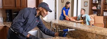 Reliable Clarkesville, GA Pest control Solutions